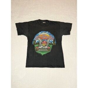 Vintage Allman Brothers 2000 Tour T Shirt Size Medium